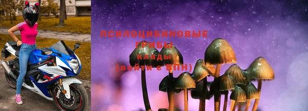 прущие крисы Богородицк