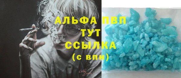 соль ск Богданович