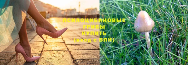 мдма Пересвет
