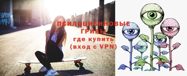 соль ск Богданович