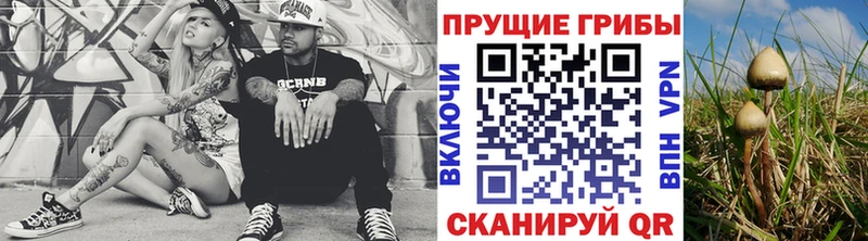 где можно купить   Наро-Фоминск  Псилоцибиновые грибы мухоморы 